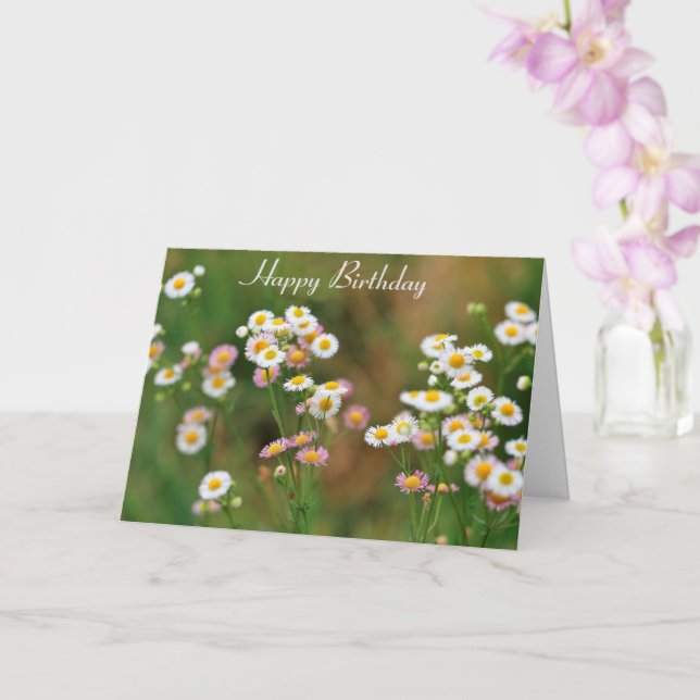 Tarjeta Bonito Daisy Birthday (Orquídea)
