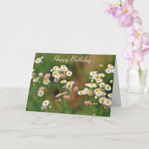 Tarjeta Bonito Daisy Birthday