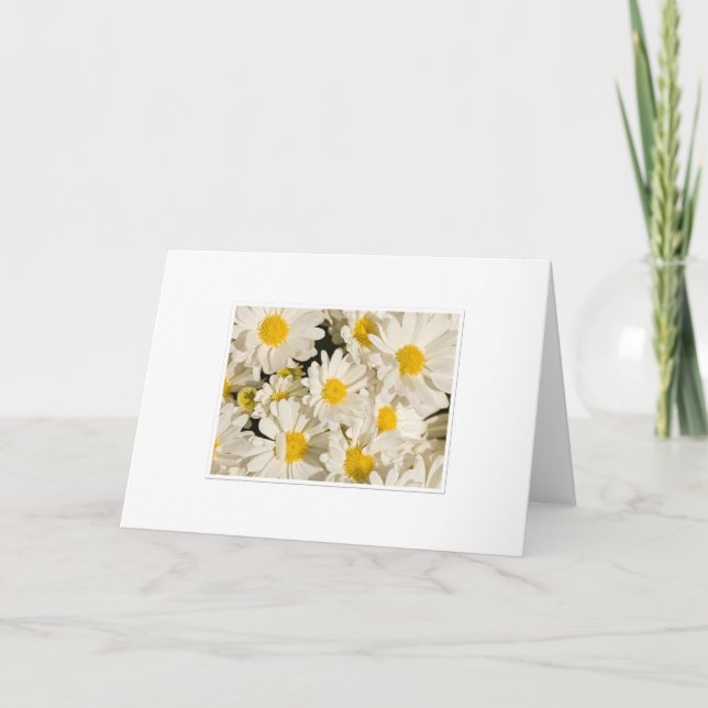 Tarjeta Bonito Daisy Greetings (Anverso)