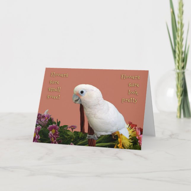 Tarjeta Bonito dulce (Anverso)