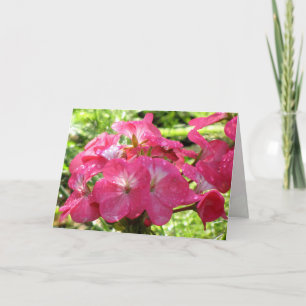 Tarjeta Bonito en flores rosas Deseos de cumpleaños