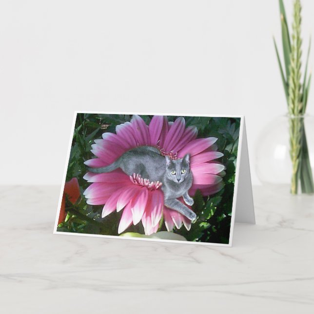 Tarjeta Bonito en rosa (Anverso)