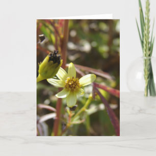 Tarjeta Bonito Flor Amarilla