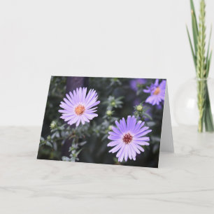 Tarjeta Bonito Flores Púrpura Fotografía original del jard