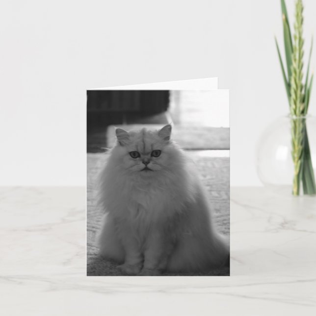 Tarjeta Bonito que se sienta (Anverso)