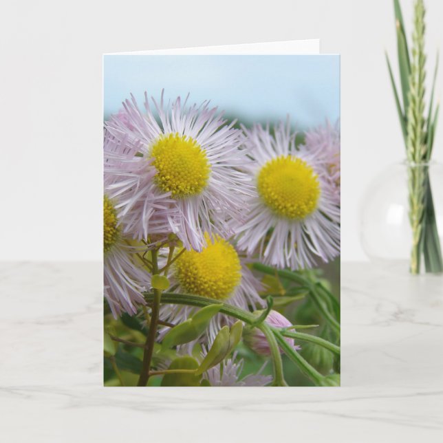 Tarjeta Bonito rosa (Anverso)