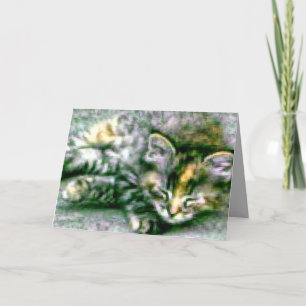 Tarjeta Bonito Sleeping Kitty
