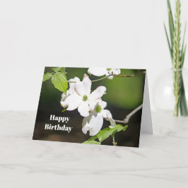 Tarjeta Bonito White Dogwood Foto Floral Cumpleaños