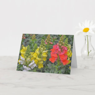 Tarjeta Bonito y arte colorido de las flores de Snapdragon