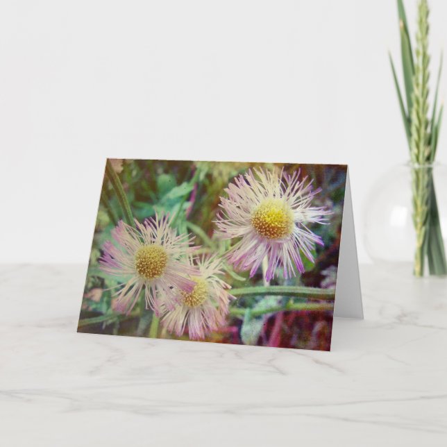 Tarjeta Bonito y rosa (Anverso)