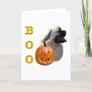 Tarjeta Boo español tibetano
