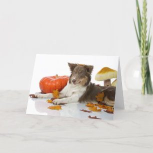 Tarjeta border collie de Halloween