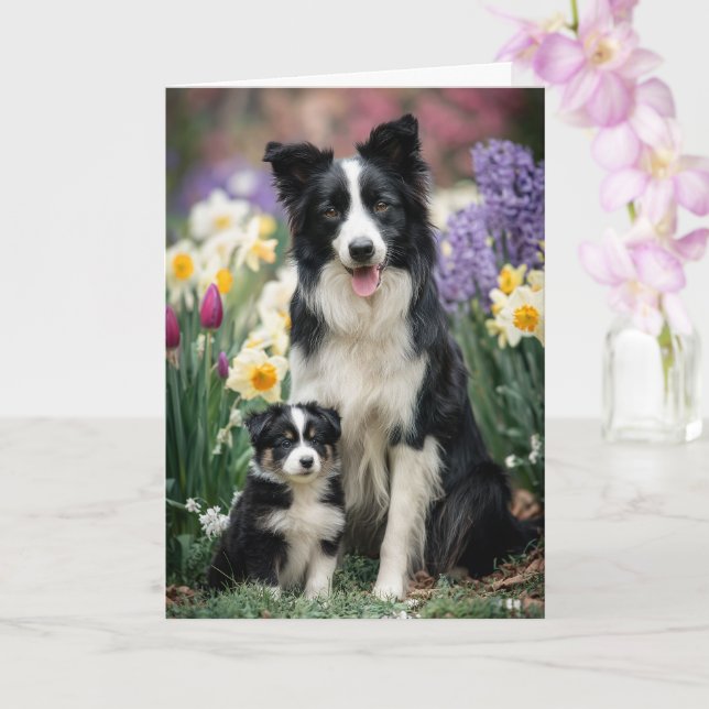 Tarjeta Border Collie Mamá Día de las Madres Amor (Orquídea)