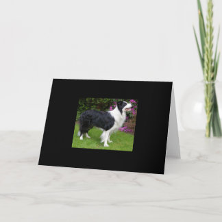 Tarjeta Border Collie Mascota Perro Animal Lindo Destino R