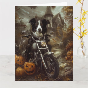Tarjeta Border Collie Montando Motocicleta Halloween Espan