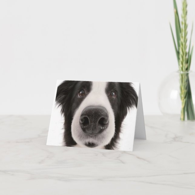 Tarjeta Border collie Notecard (Anverso)