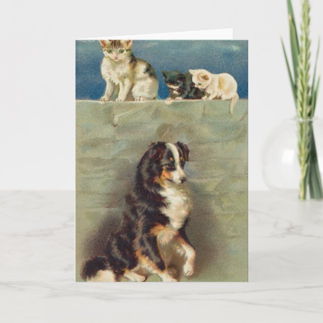 Tarjeta Border collie Notecard (Anverso)