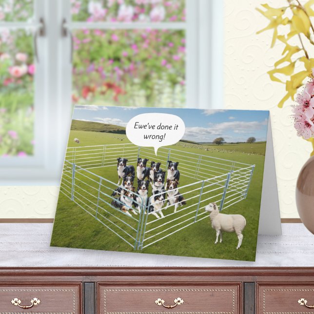 Tarjeta Border Collie Perros y Ovejas Cumpleaños Divertido (A funny birthday card with role reversal of sheep and border collie sheepdogs)