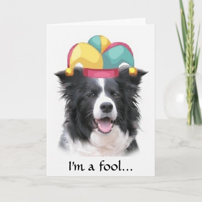 Tarjeta Border collie que saluda el día del tonto de (Anverso)