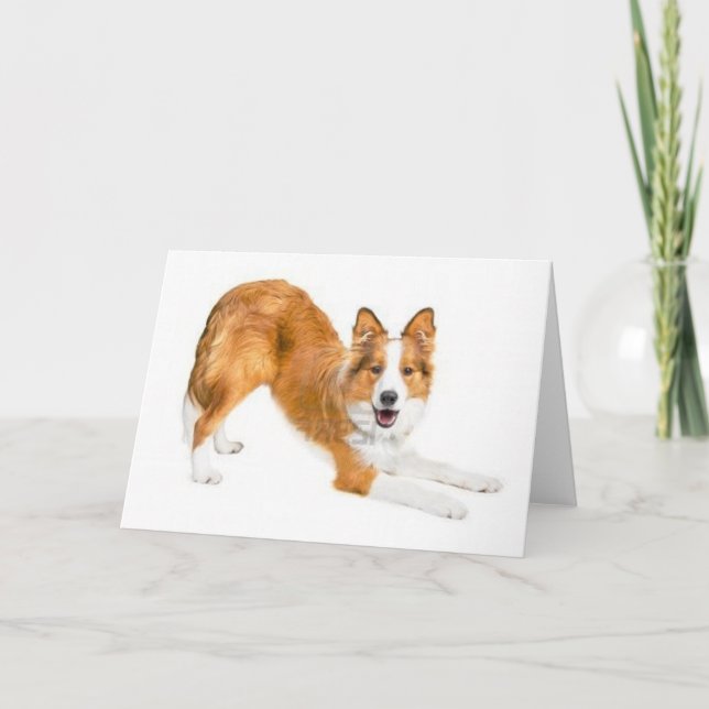 Tarjeta Border collie rojo de oro Notecard (Anverso)