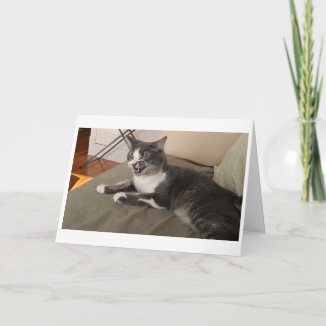 Tarjeta Boris, el saludo de los Cute Nubber Kitty (Anverso)