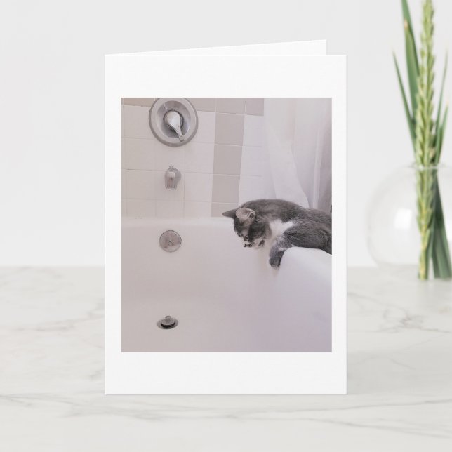 Tarjeta Boris, el saludo de los Cute Nubber Kitty (Anverso)