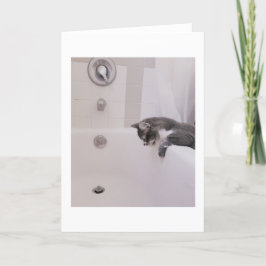 Tarjeta Boris, el saludo de los Cute Nubber Kitty