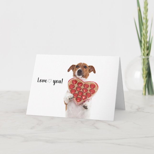 Tarjeta Boris - Jack Russell Terrier (Anverso)