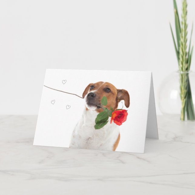Tarjeta Boris - Jack Russell Terrier - Rosa de perro (Anverso)