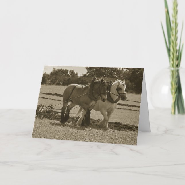 Tarjeta Borrador de caballos arando cumpleaños (Anverso)