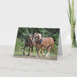 Tarjeta Borrador de caballos en el cumpleaños del arnés