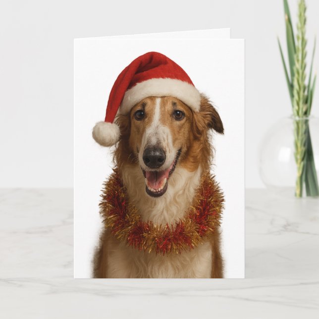 Tarjeta Borzoi (brown and white)  Santa hat Christmas card (Anverso)