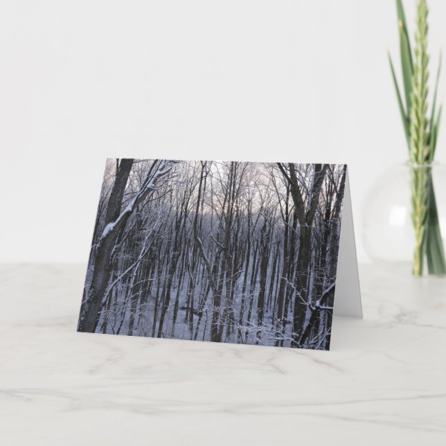 Tarjeta Bosque de árboles nevados (Anverso)