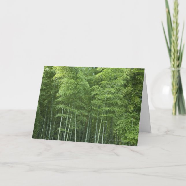 Tarjeta Bosque de bambú (Anverso)