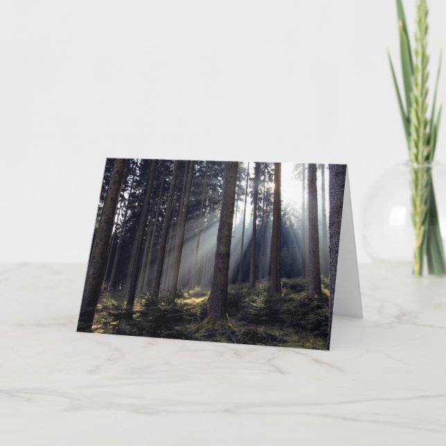 Tarjeta Bosque de Baviera (Anverso)