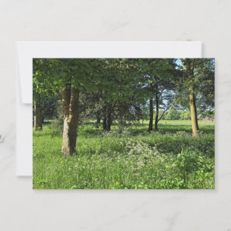Tarjeta Bosque de Blackweir, Parque Bute, Gales de Cardiff