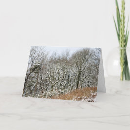 Tarjeta Bosque de Macclesfield de Invierno