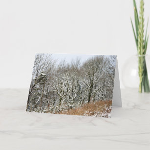 Tarjeta Bosque de Macclesfield de Invierno