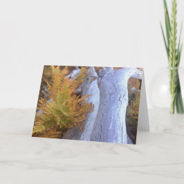 Tarjeta Bosque de otoño