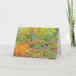 Tarjeta "Bosque de otoño" (manip digital/ fotog.)