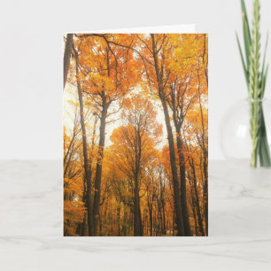 Tarjeta Bosque de otoño naranja