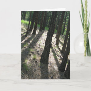 Tarjeta Bosque de sombra de árbol