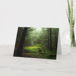 Tarjeta Bosque de Sterious