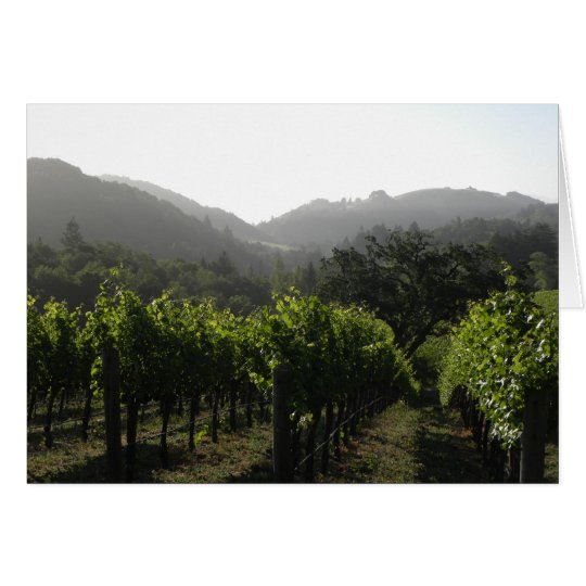 Tarjeta Bosque del viñedo de la mañana