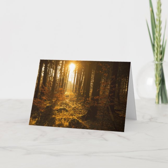 Tarjeta Bosque durante el otoño el | Baden Württemberg, (Anverso)