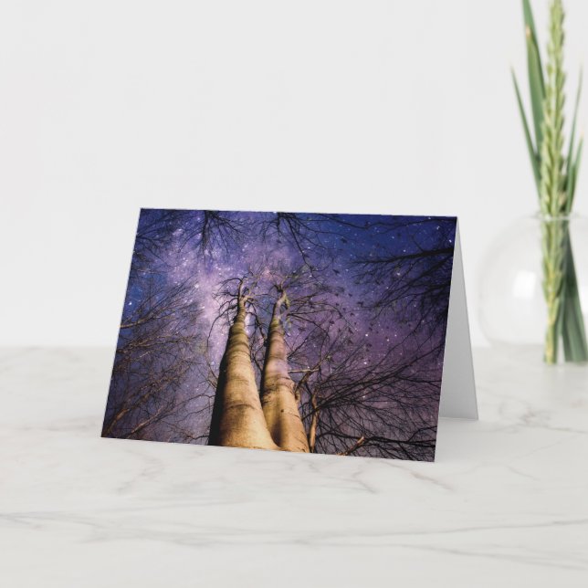 Tarjeta Bosque encantado (Anverso)