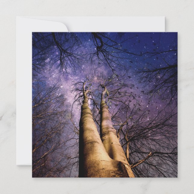 Tarjeta Bosque místico (Anverso)