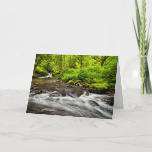 Tarjeta Bosque Nacional Siuslaw, Creek dulce, Oregón