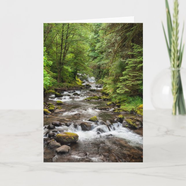 Tarjeta Bosque Nacional Siuslaw | Sweet Creek (Anverso)