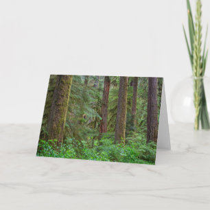 Tarjeta Bosque nacional Willamette   Oregón